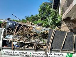 Best Scrap Metal Removal  in Danville, VA